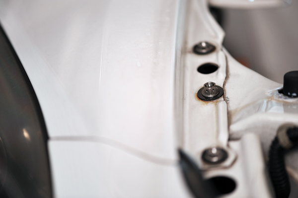 140503 koguma 2 DSC_3469.jpg